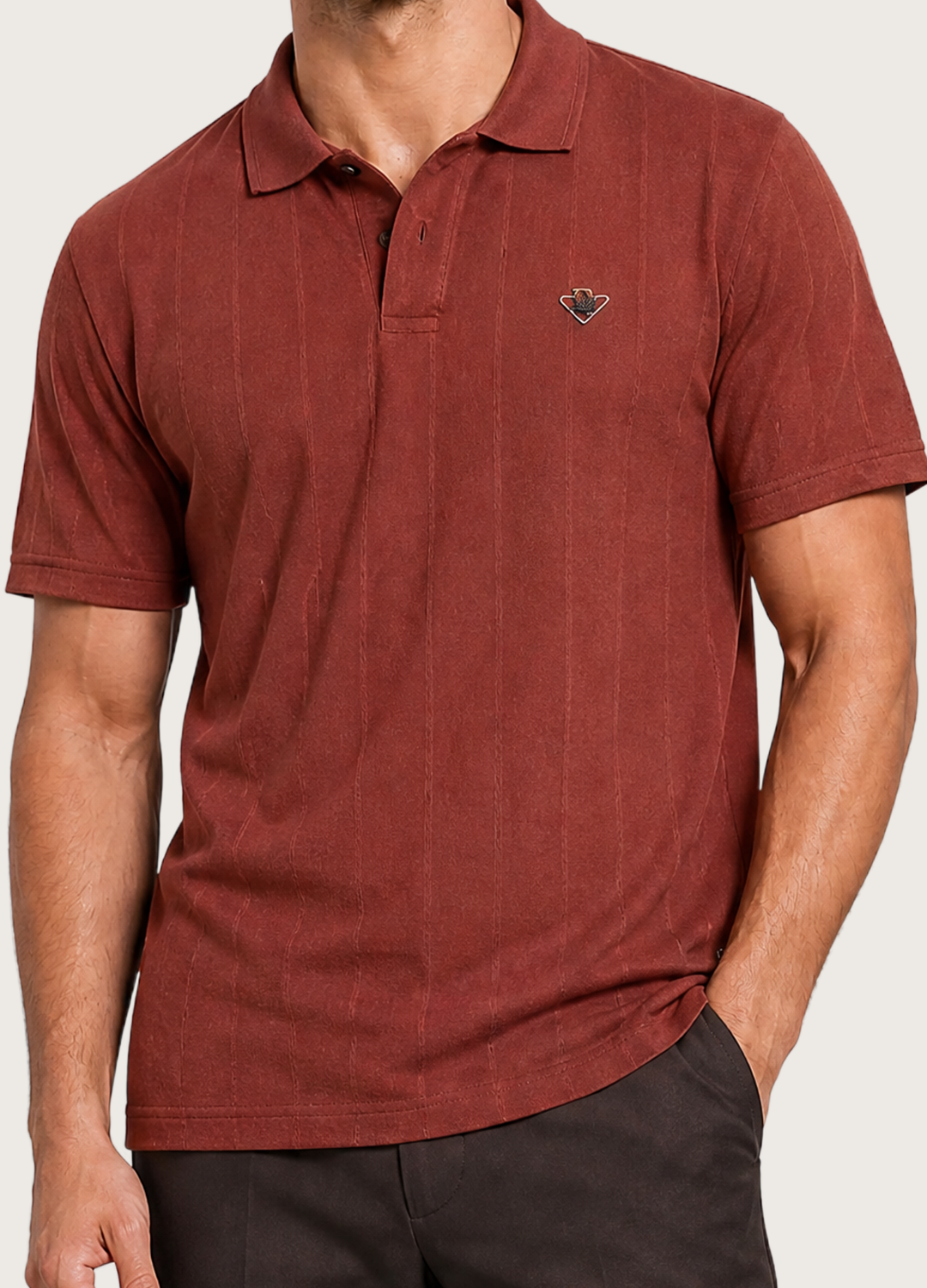 Maroon Johnny Collar Polo
