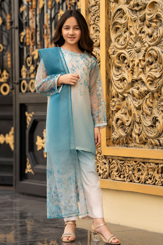 Kids' Elegant Blue & White Embroidered Organza Suit