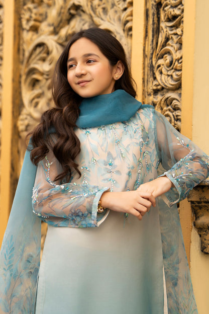 Kids' Elegant Blue & White Embroidered Organza Suit