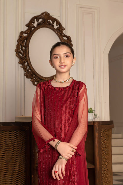 Kids' Elegant Maroon Embroidered Formal Suit